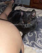 Анкета проститутки Шарлотта - метро Бескудниковский, возраст - 25